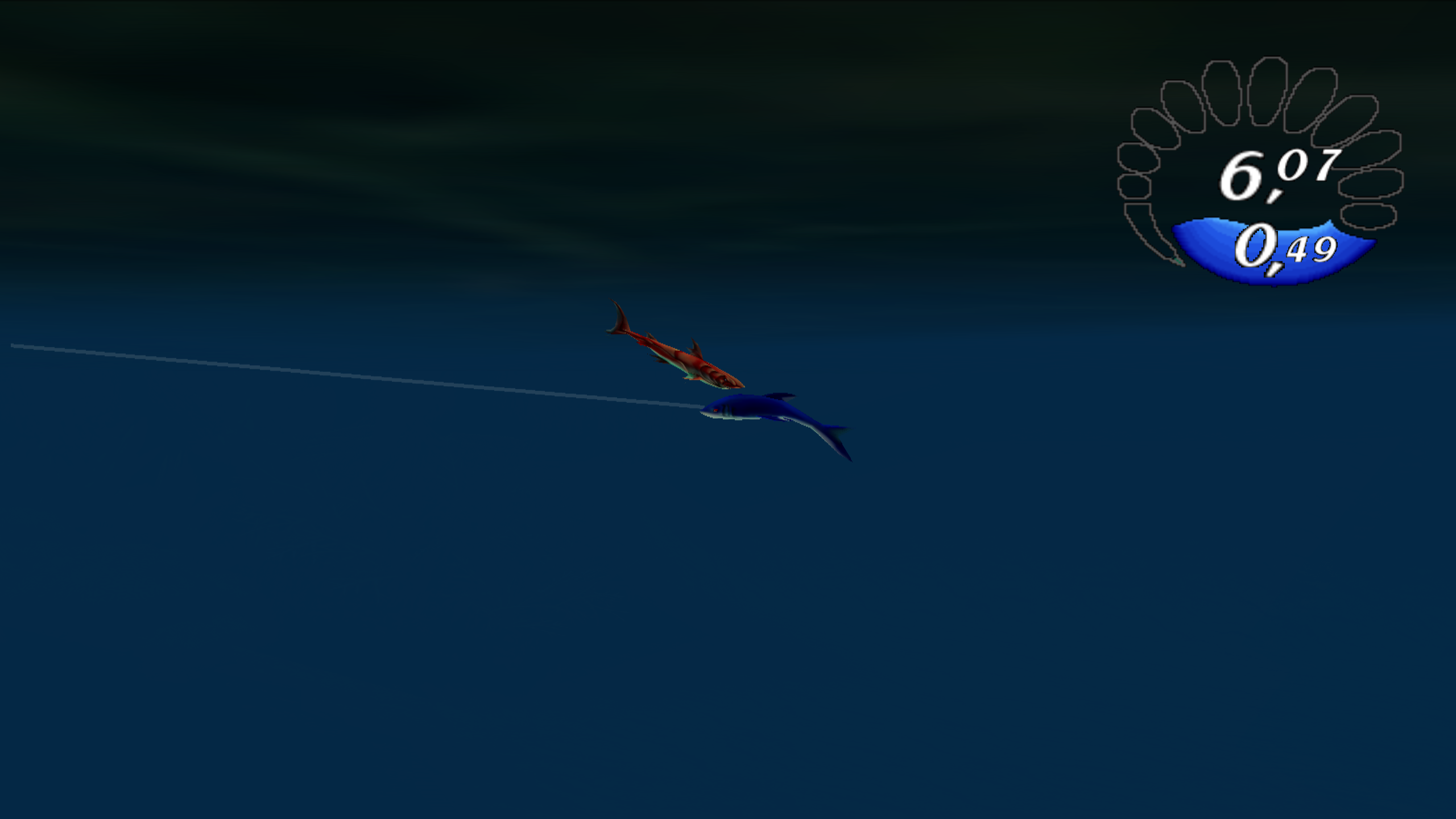 A tiny Red Plate trying to eat a lure bigger than itself